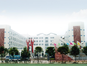 乐山外国语小学学校食堂草莓视频懂你更多设备工程项目