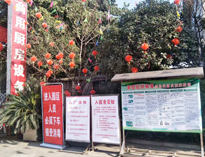 疫情无情人有情，我为抗疫做贡献！