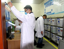 成都大型草莓视频懂你更多设施设备厂家带你看看现在成都学校的后厨干净吗?
